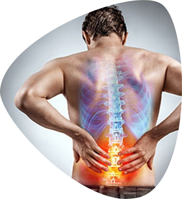 Kas ve İskelet Sistemi İçin Yoga Terapi